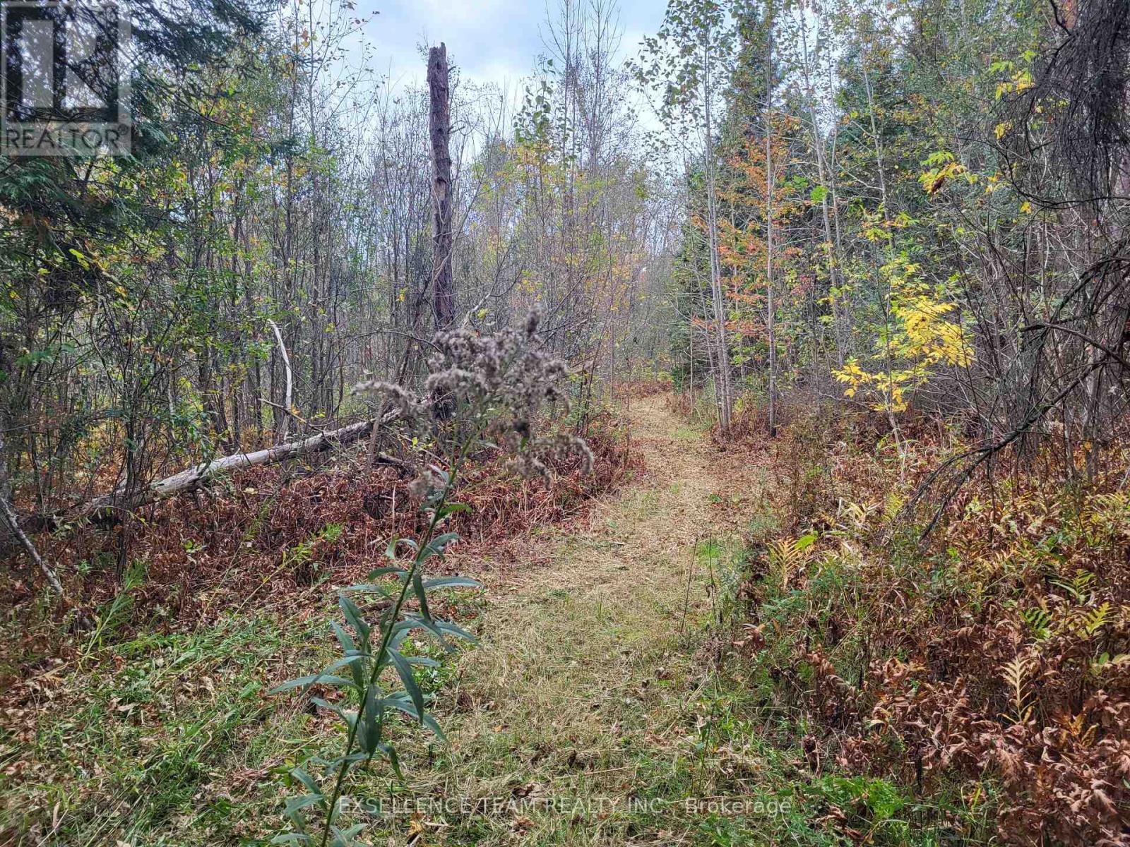 0 Raymond Road, South Stormont, ON