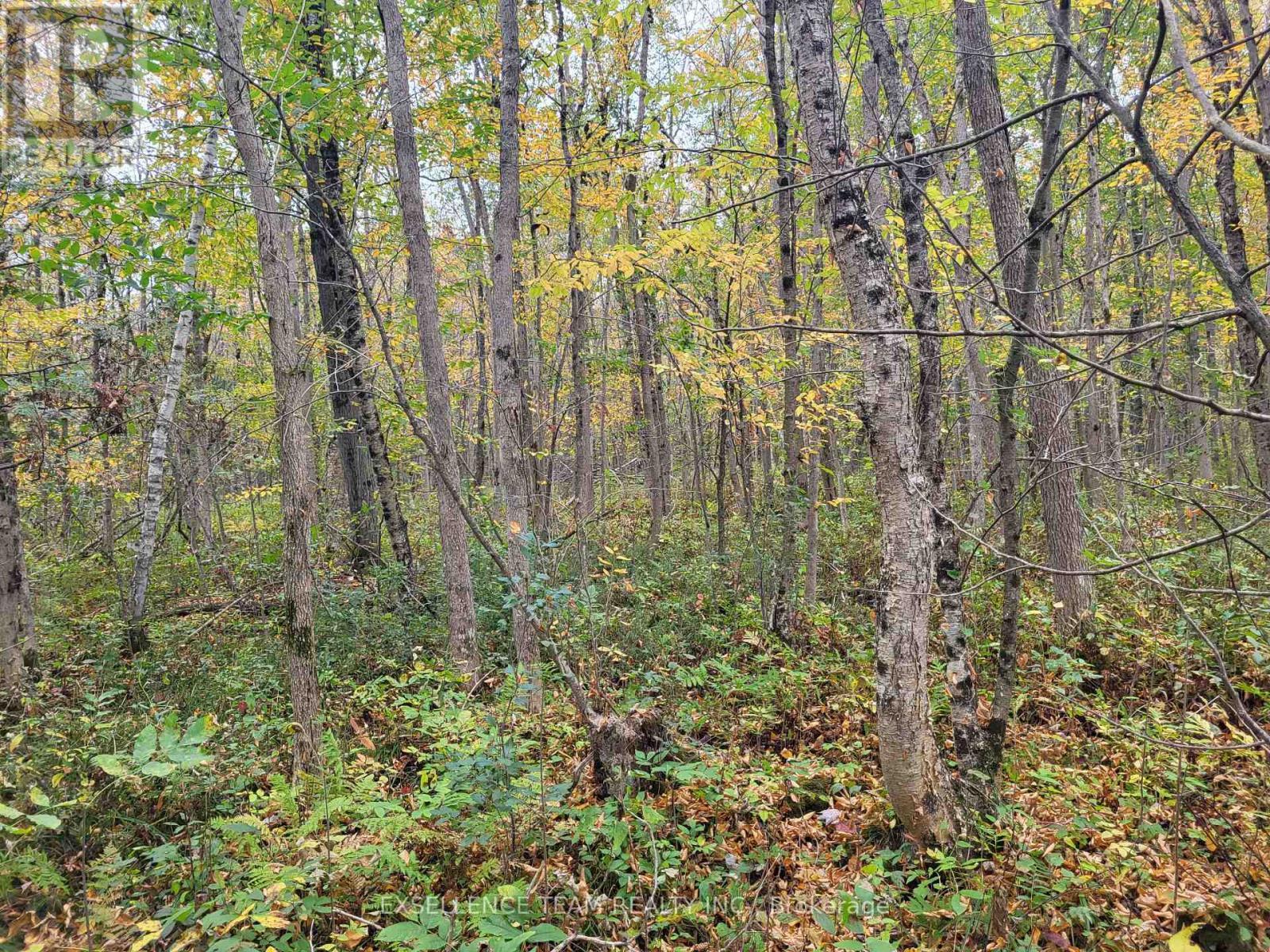 0 Raymond Road, South Stormont, ON