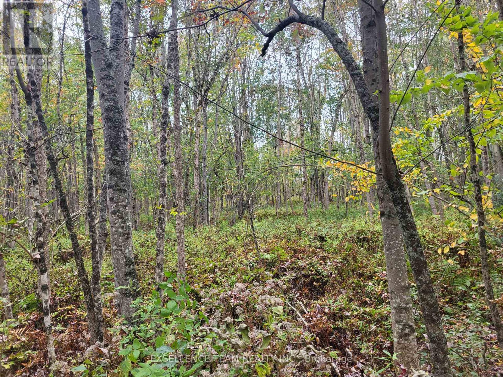 0 Raymond Road, South Stormont, ON