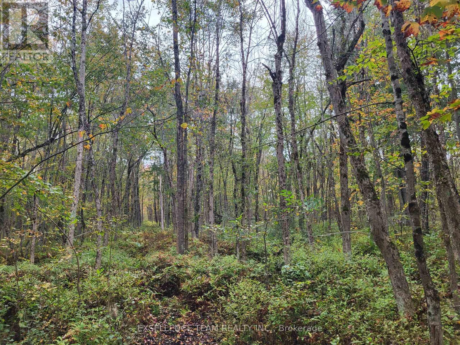 0 Raymond Road, South Stormont, ON