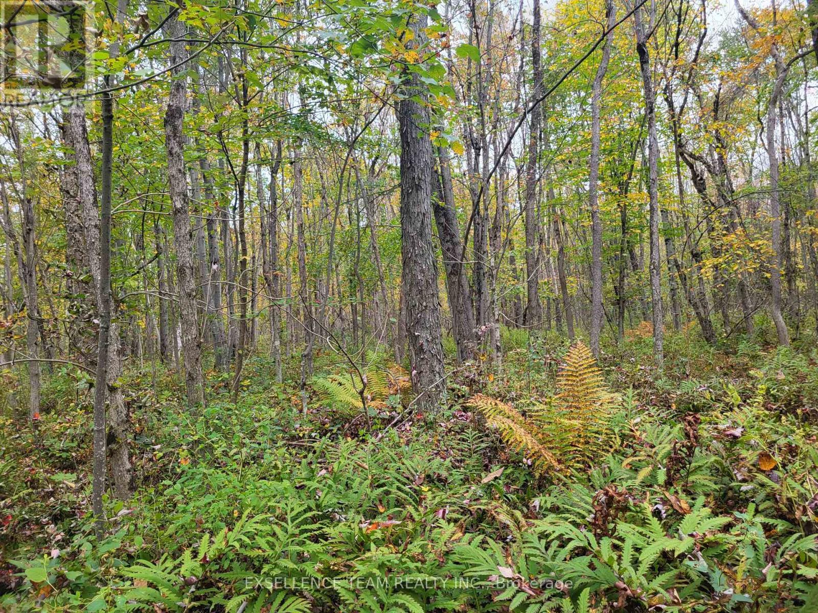 0 Raymond Road, South Stormont, ON