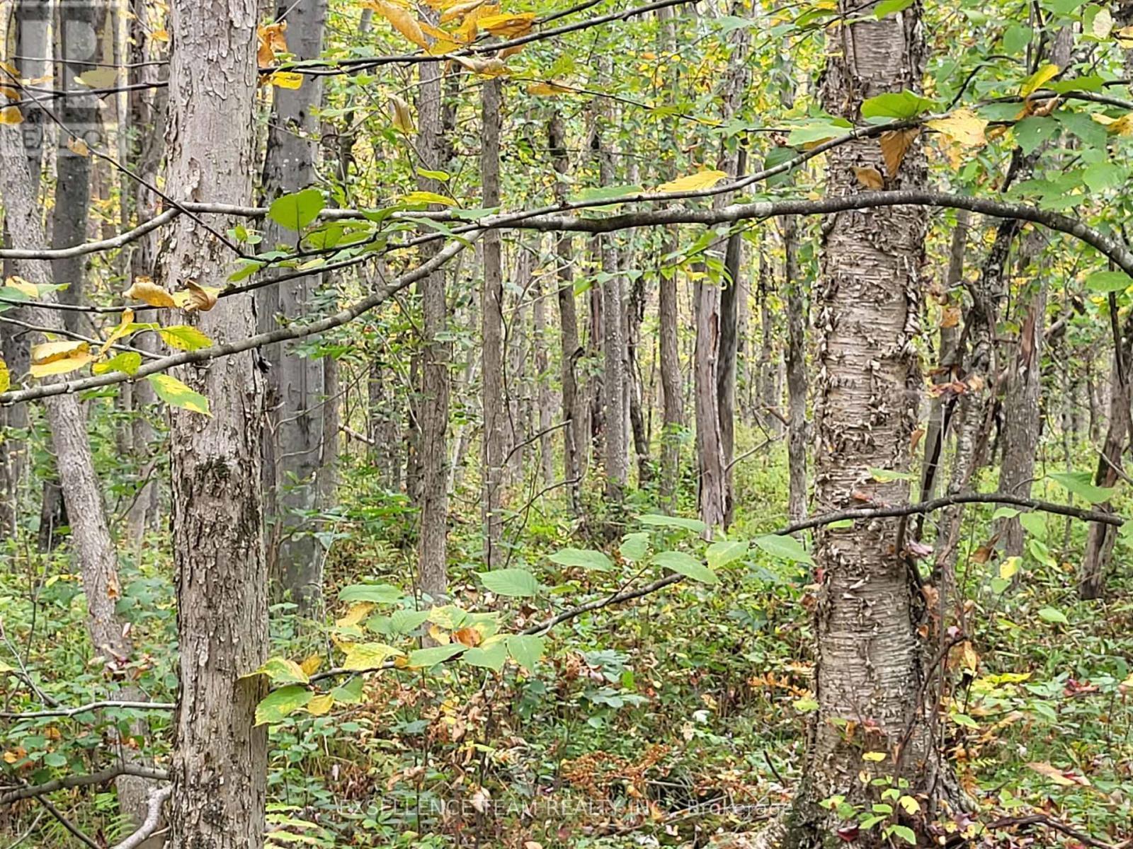 0 Raymond Road, South Stormont, ON