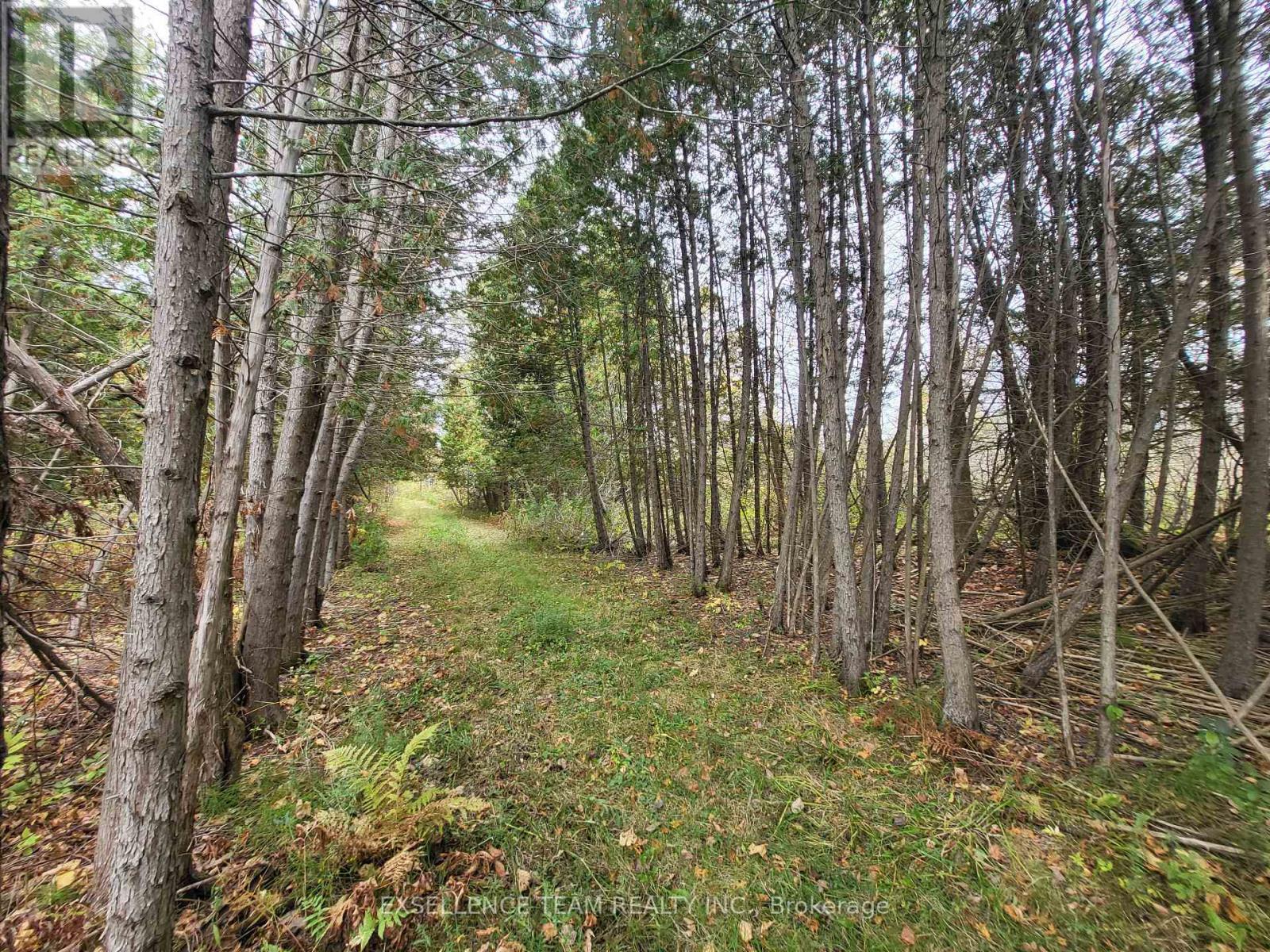 0 Raymond Road, South Stormont, ON