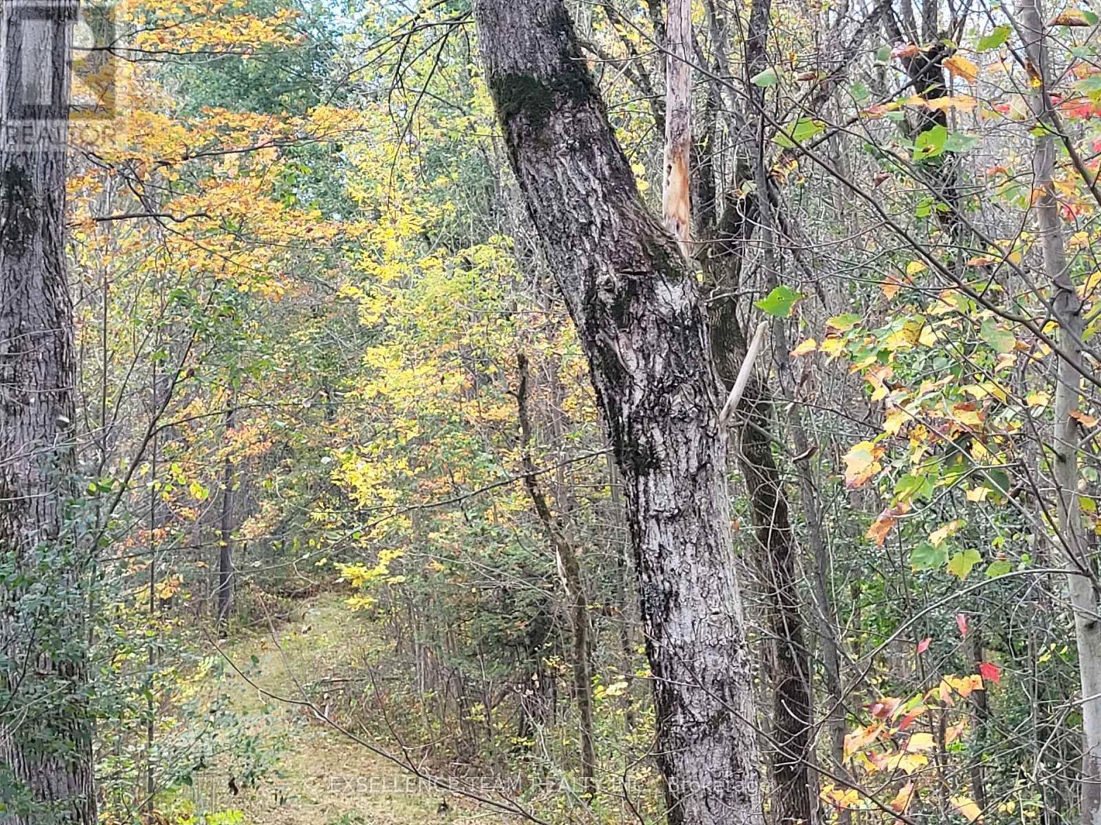 0 Raymond Road, South Stormont, ON