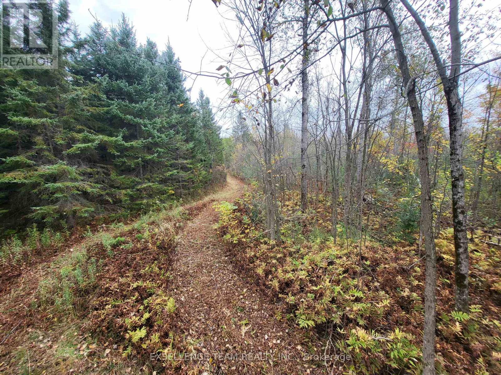 0 Raymond Road, South Stormont, ON