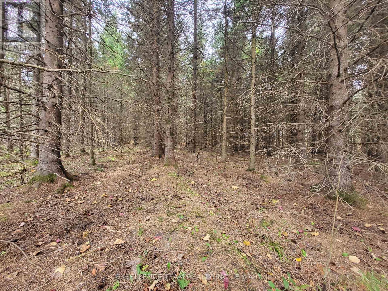 0 Raymond Road, South Stormont, ON