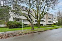 Front facing Graham -