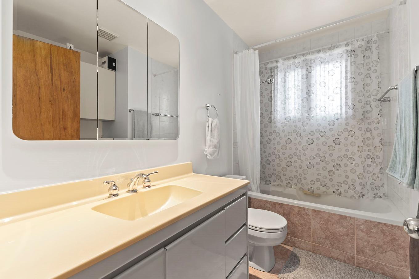 Salle de bains - 614 Rue Gratien, Laval (Fabreville), QC - Indoor Photo Showing Bathroom