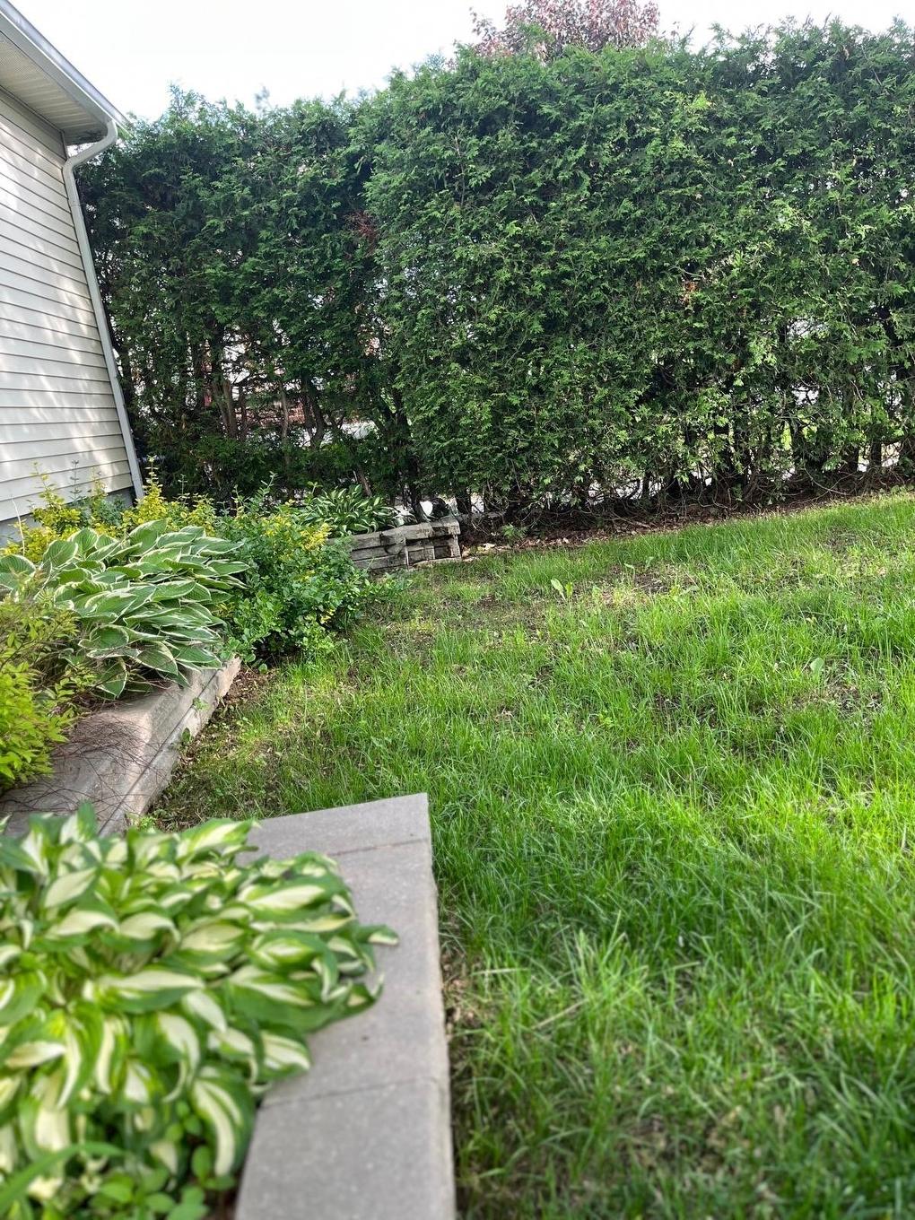 Face arrière - 614 Rue Gratien, Laval (Fabreville), QC - Outdoor