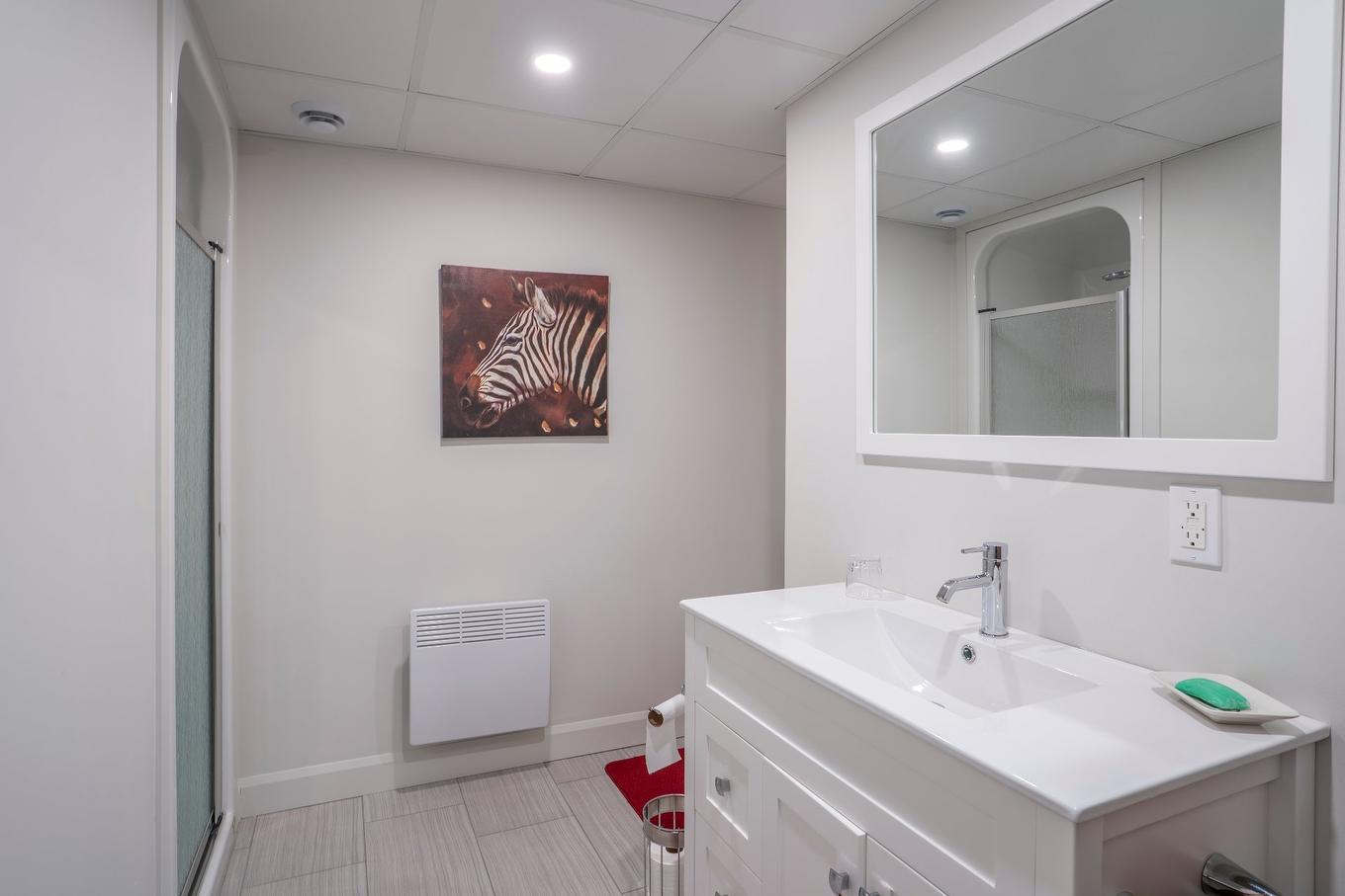 Bathroom - 208 42E Avenue, Beauceville, QC - Indoor Photo Showing Bathroom