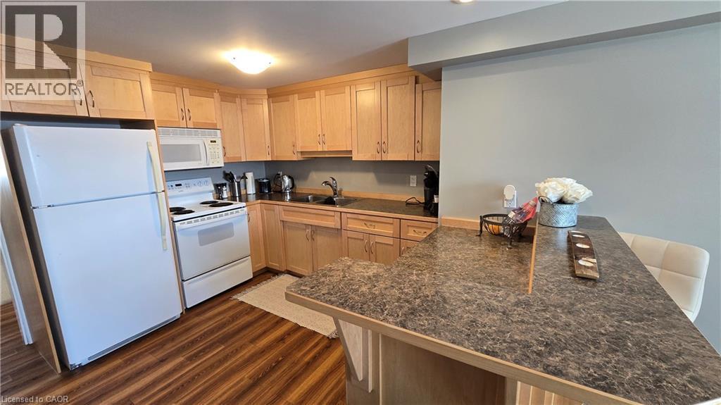 101 Lang Crescent Unit# B, Kitchener, ON - Indoor Photo Showing Kitchen With Double Sink