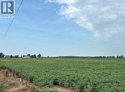 V/L COUNTY ROAD 8 Essex, ON N8M 2X6