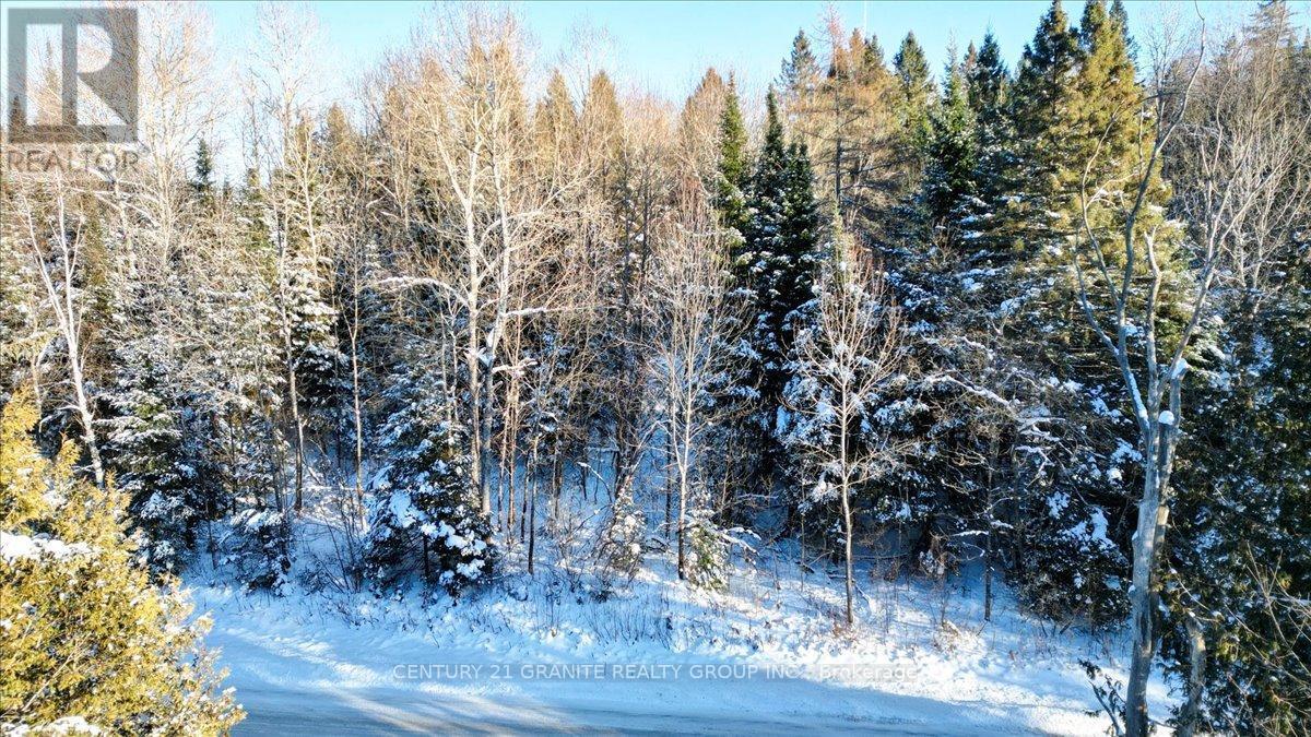 0 Lower Faraday Road, Faraday, ON