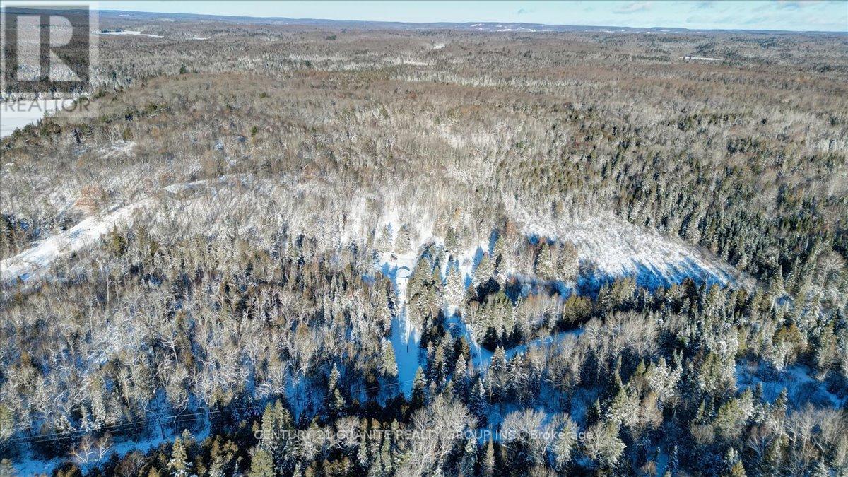 3157 Lower Faraday Road, Faraday, ON - Outdoor With View