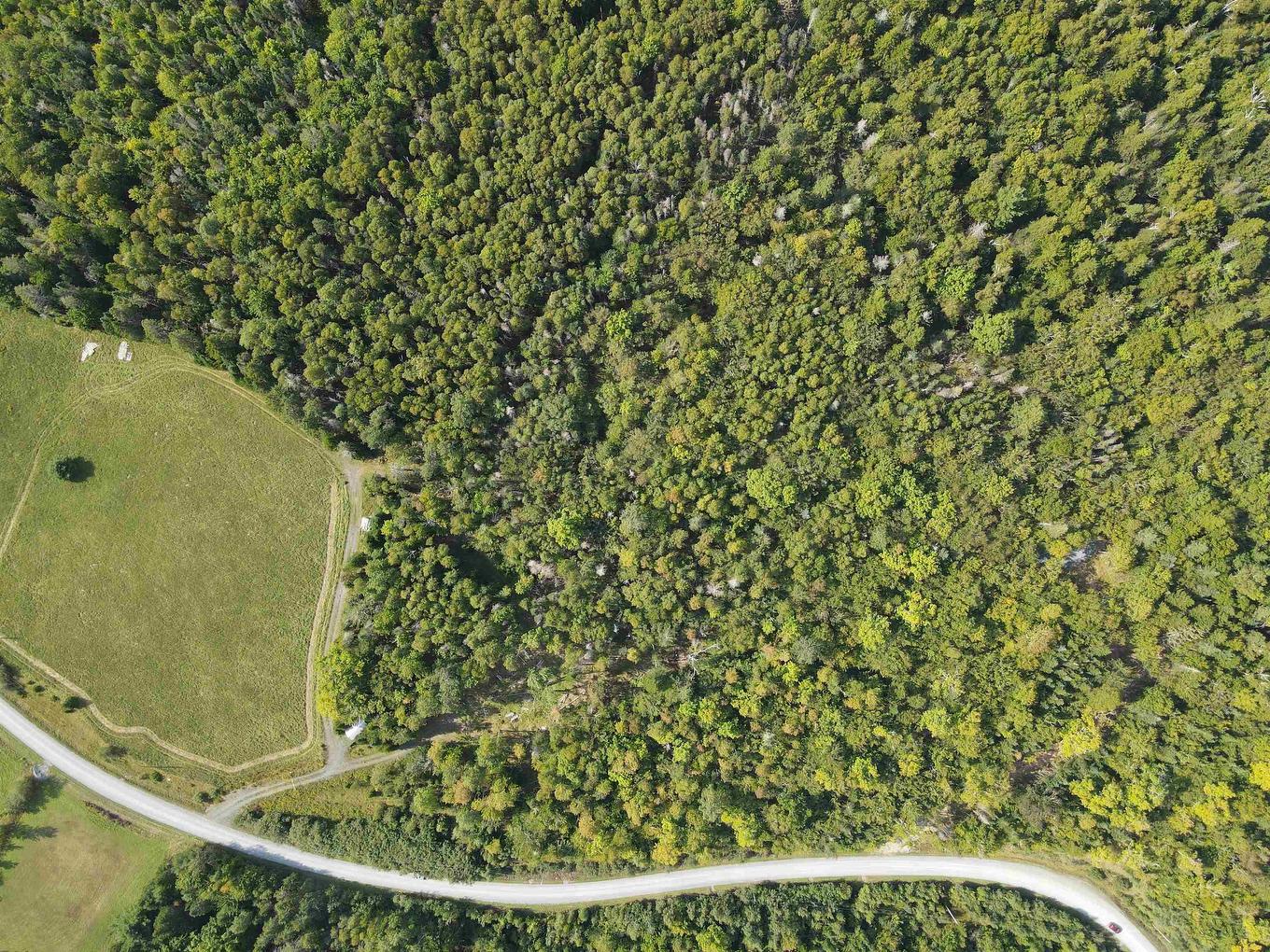 9-4 Kill Dog Cove Road, Parkdale, NS