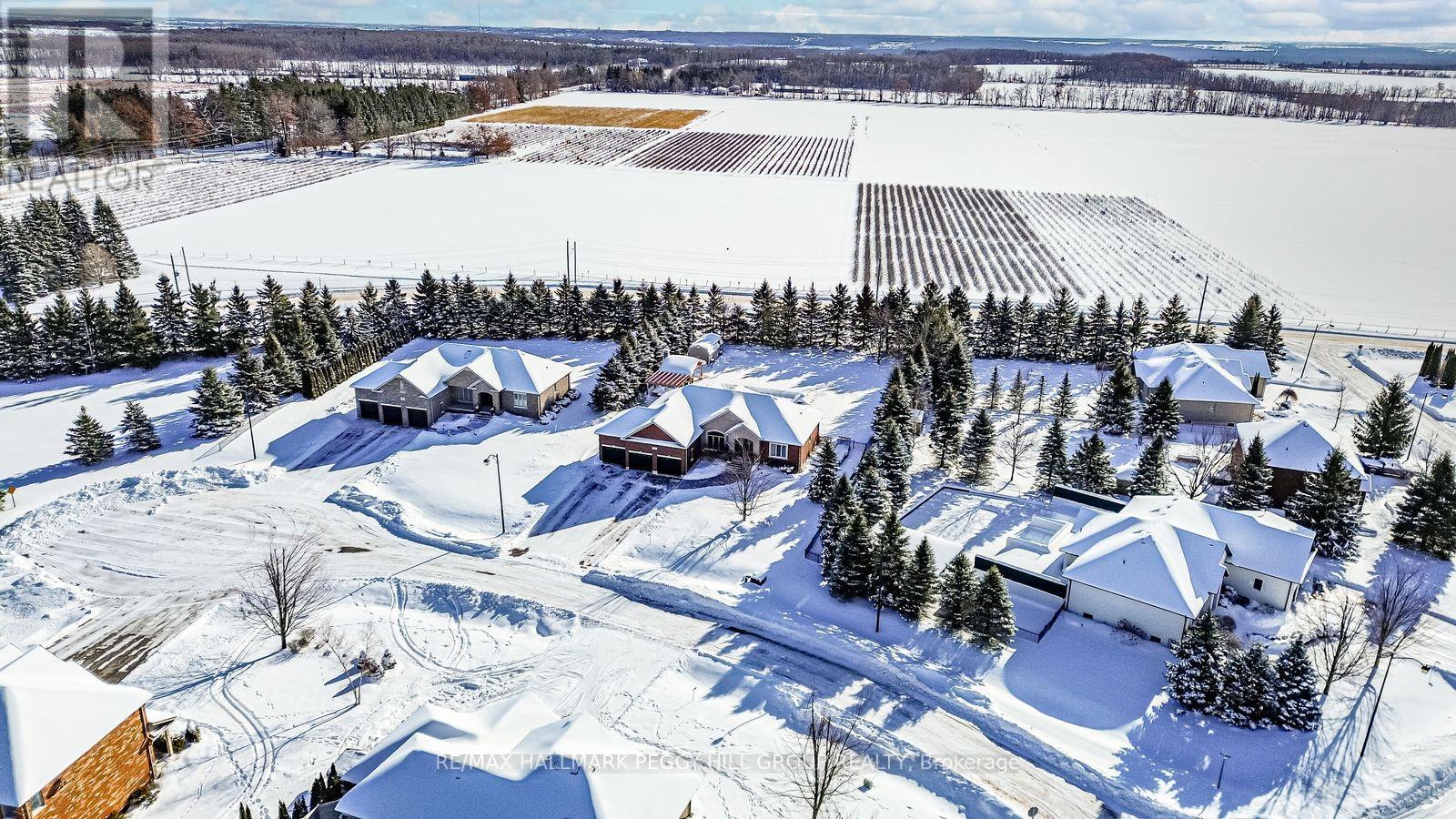 5 Munro Court, Springwater, ON - Outdoor With View