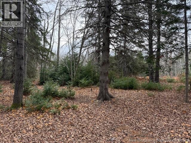 24830 134 Route, Blackland, NB