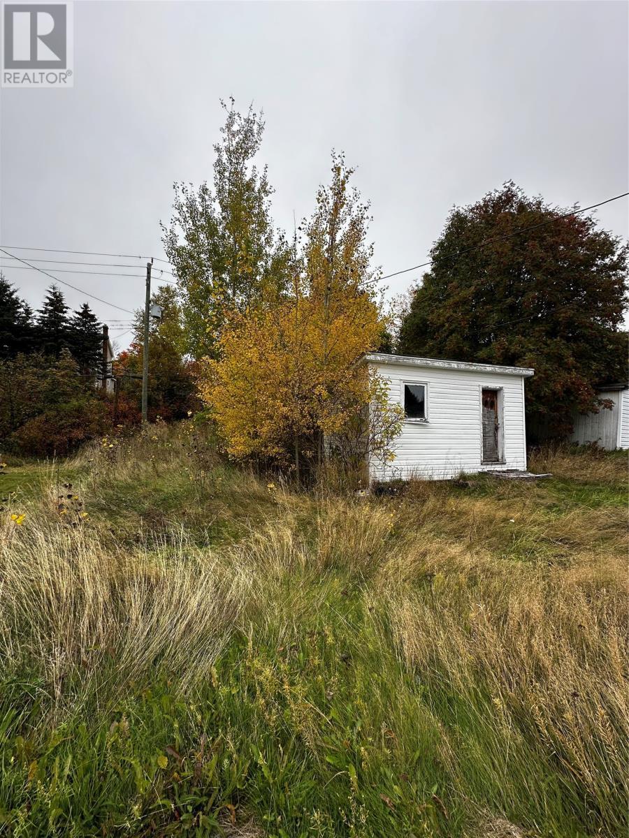 92 Lincoln Road, Grand Falls-Windsor, NL - Outdoor