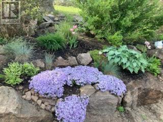 1898 Lakehurst Road, Trent Lakes, ON - Outdoor