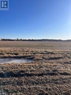 PL178-9 LINE 8 ROAD Niagara-On-The-Lake (Rural), ON L0S 1P0