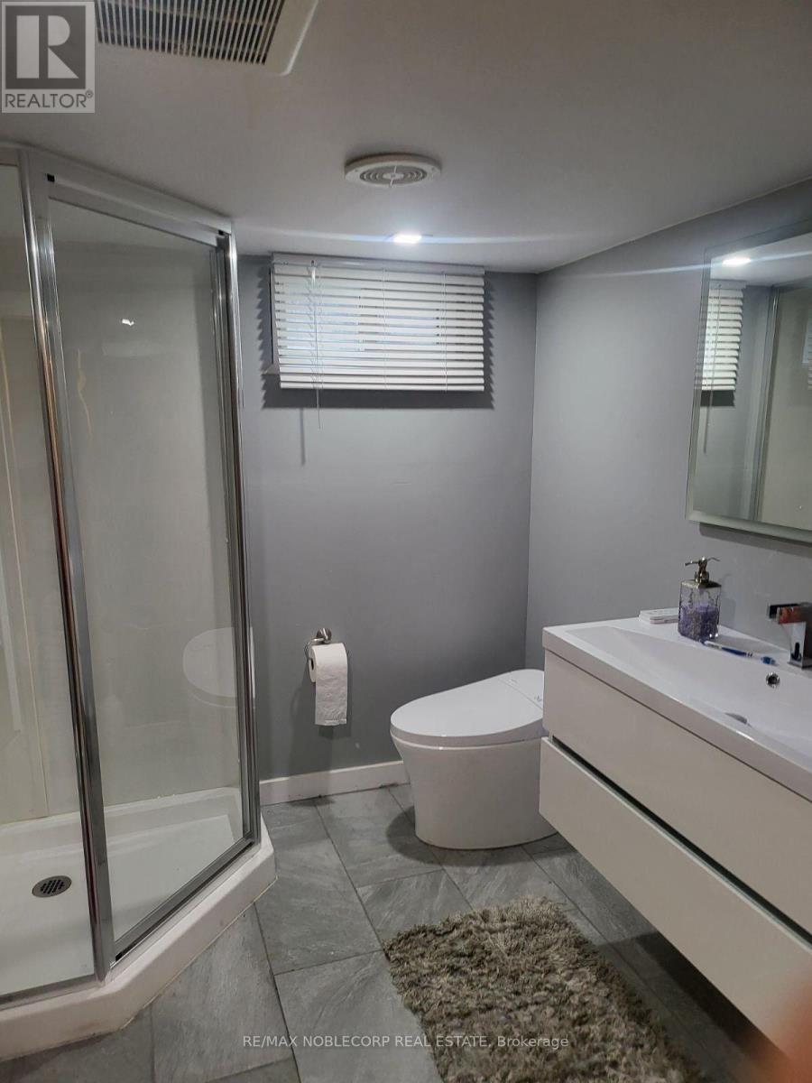 Bsmt - 56 Argyle Crescent, St. Catharines, ON - Indoor Photo Showing Bathroom