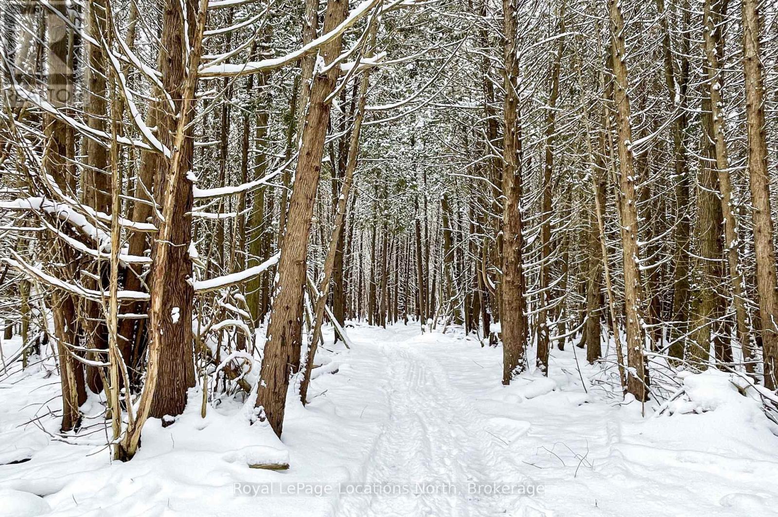 637280 St Vincent-Sydenham Townline, Meaford, ON - Indoor With Storage