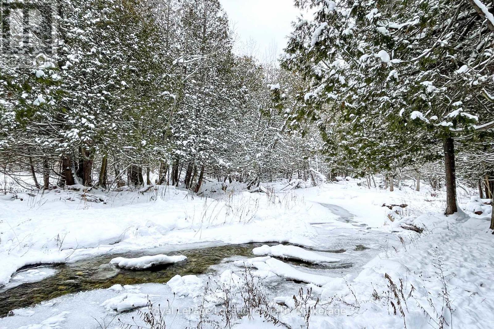 637280 St Vincent-Sydenham Townline, Meaford, ON - Outdoor