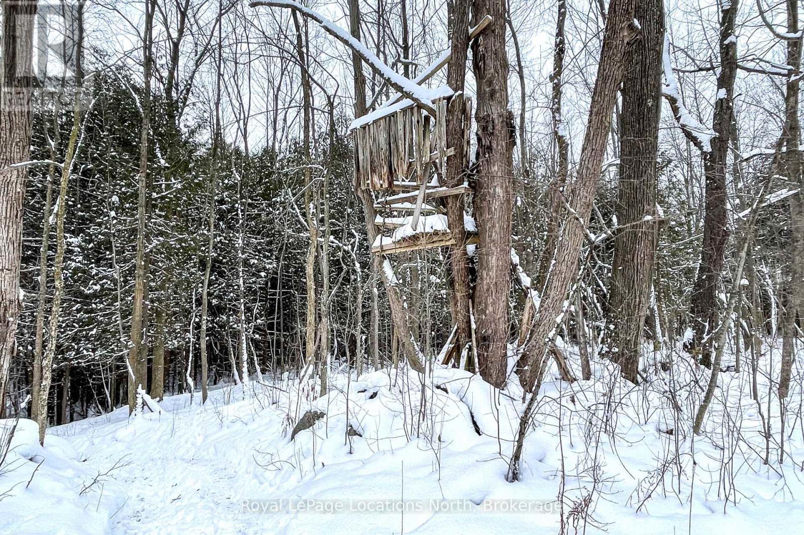 637280 St Vincent-Sydenham Townline, Meaford, ON - Outdoor With View