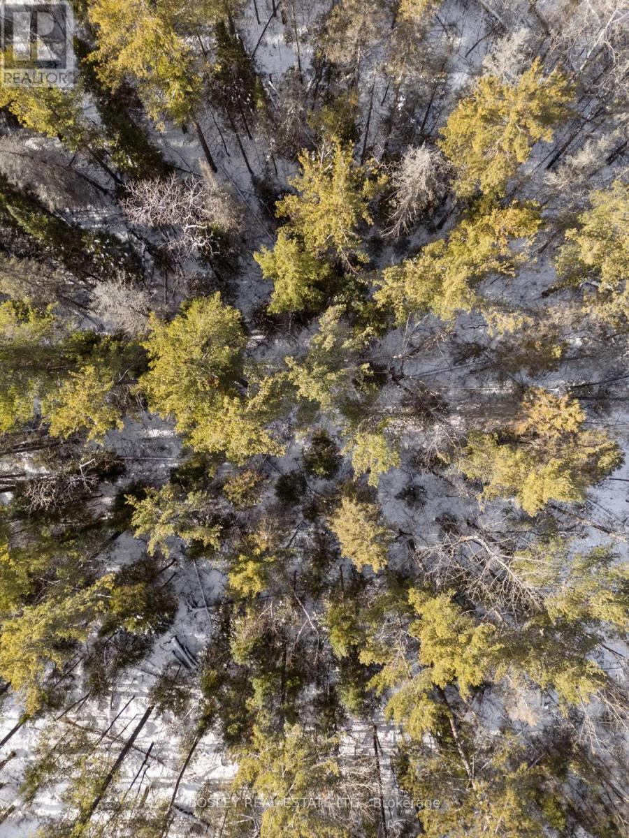 34 Pineview Court, Marmora And Lake (Marmora Ward), ON