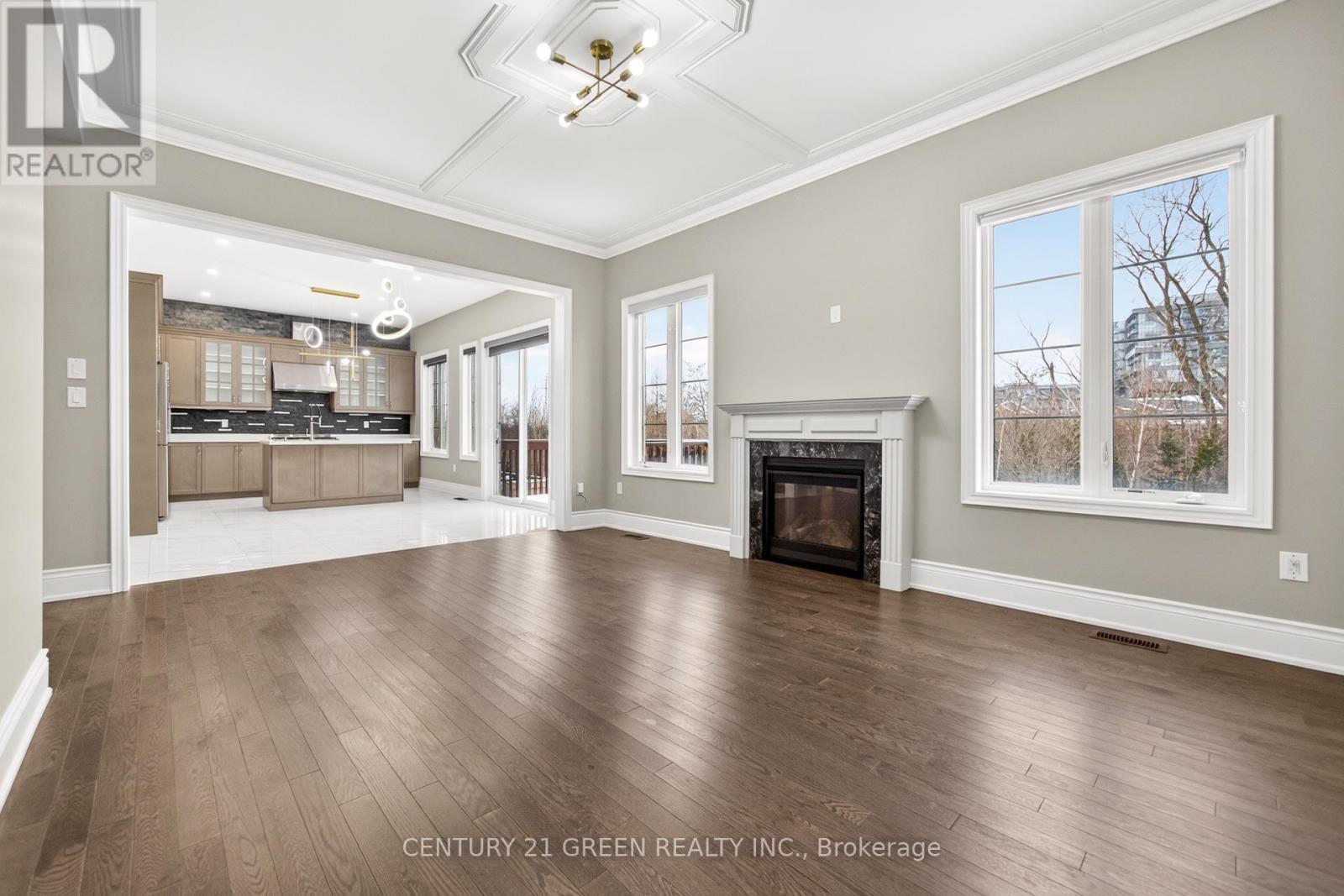 219 Humphrey Street, Hamilton, ON - Indoor Photo Showing Living Room With Fireplace