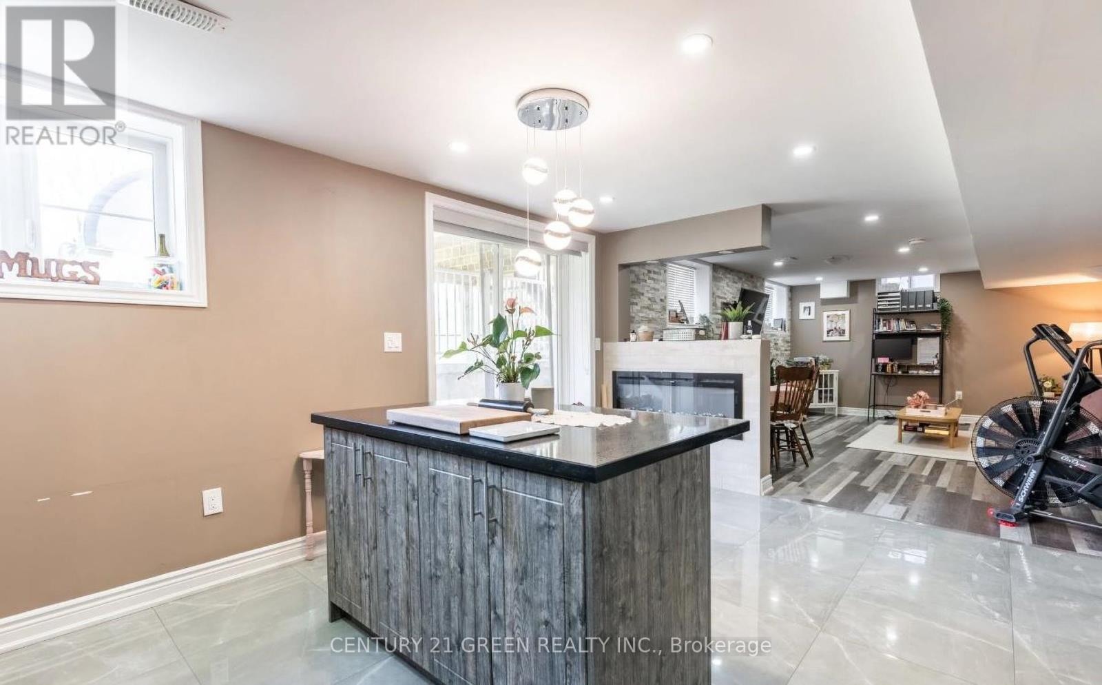 219 Humphrey Street, Hamilton, ON - Indoor With Fireplace