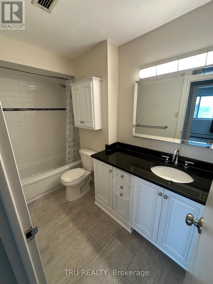 209 - 20 Chesterton Drive, Ottawa, ON - Indoor Photo Showing Bathroom