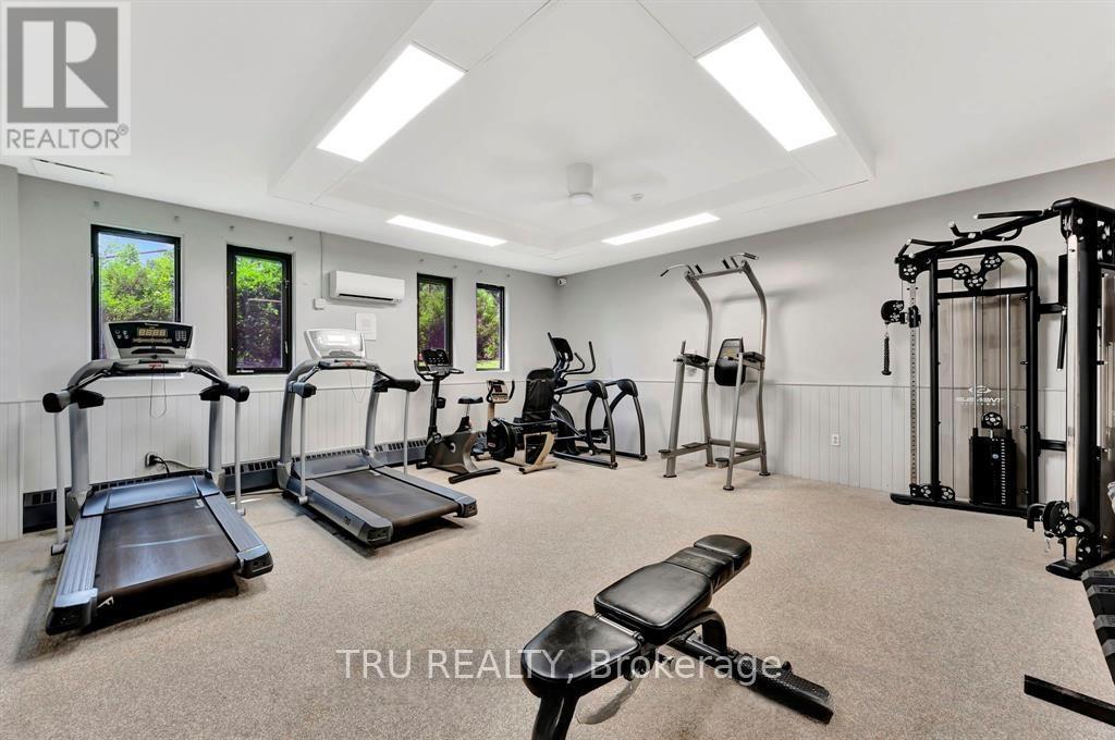 209 - 20 Chesterton Drive, Ottawa, ON - Indoor Photo Showing Gym Room