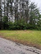 124 FREDERICK STREET Bracebridge (Draper), ON P1L 1B5