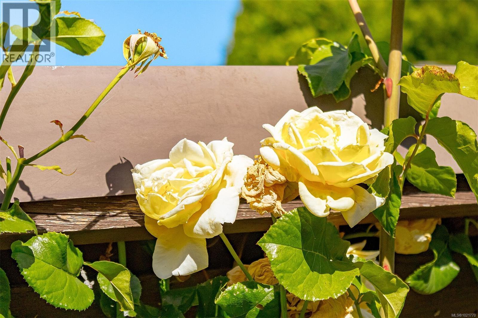 1961 Hovey Rd, Central Saanich, BC - With View