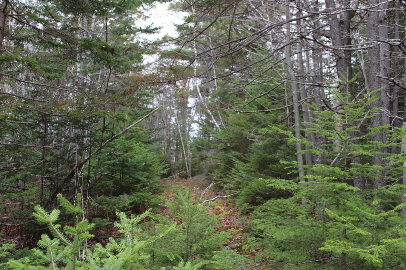 Lot Mirror Point Drive, Graywood, NS