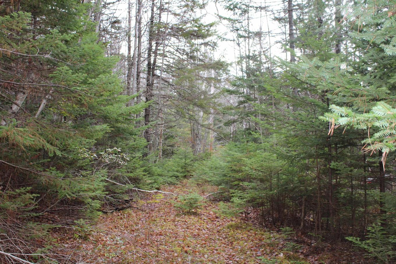 Lot Mirror Point Drive, Graywood, NS