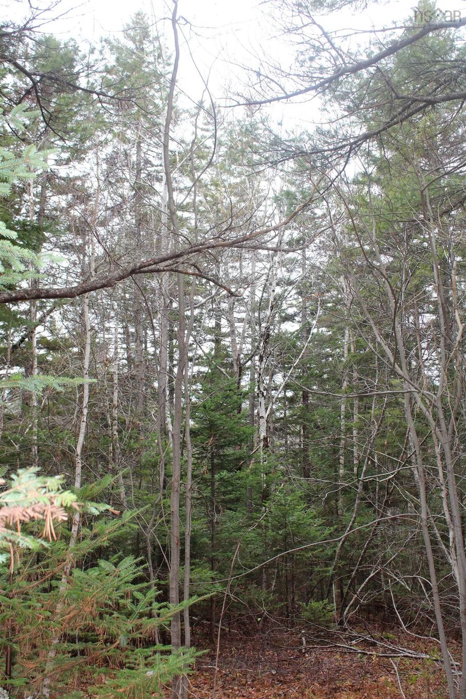 Lot Mirror Point Drive, Graywood, NS