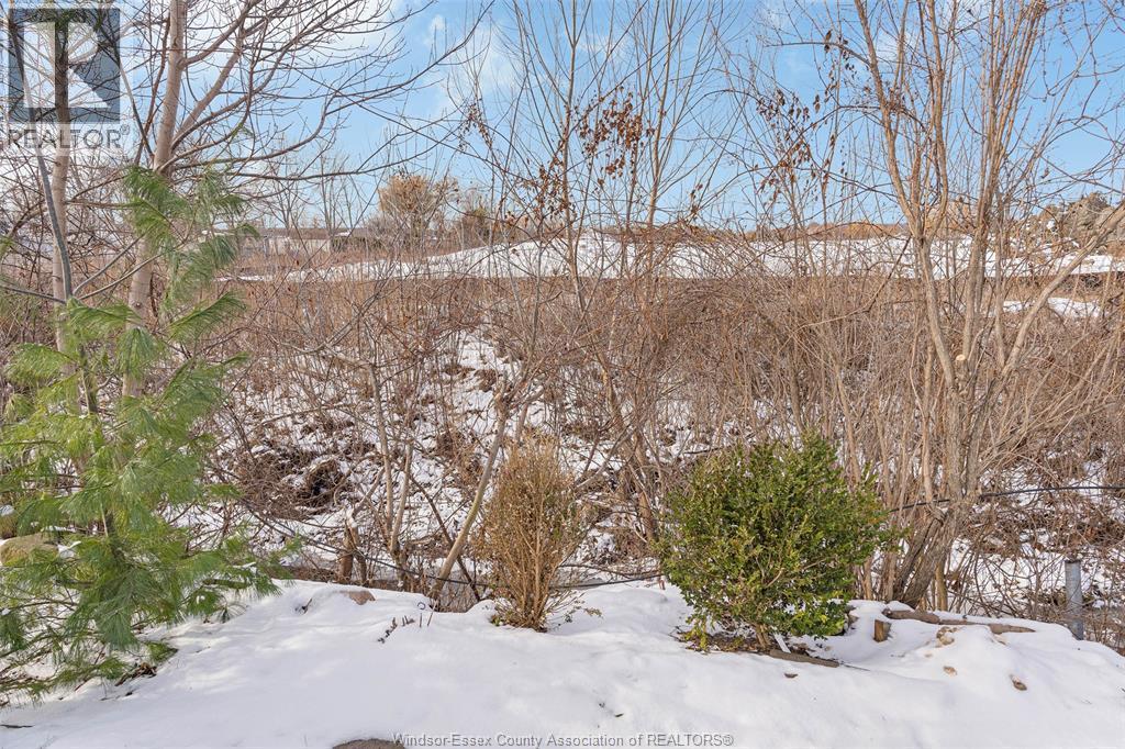 56 Parkside Dr, Mcgregor, ON - Outdoor With View