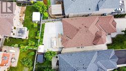Bird View -