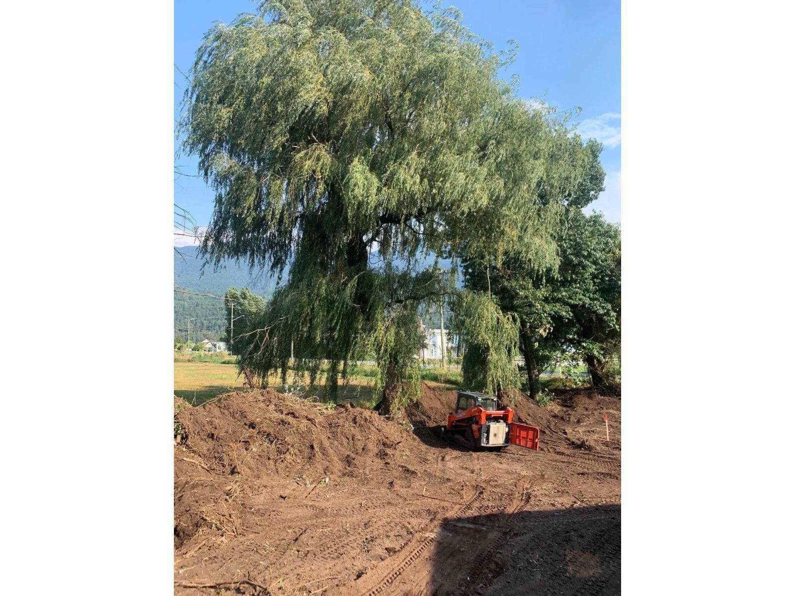 49539 Prairie Central Road|East Chilliwack, Chilliwack, BC - Outdoor With View