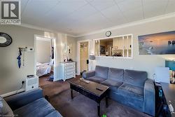 Living room with ornamental molding and carpet flooring -