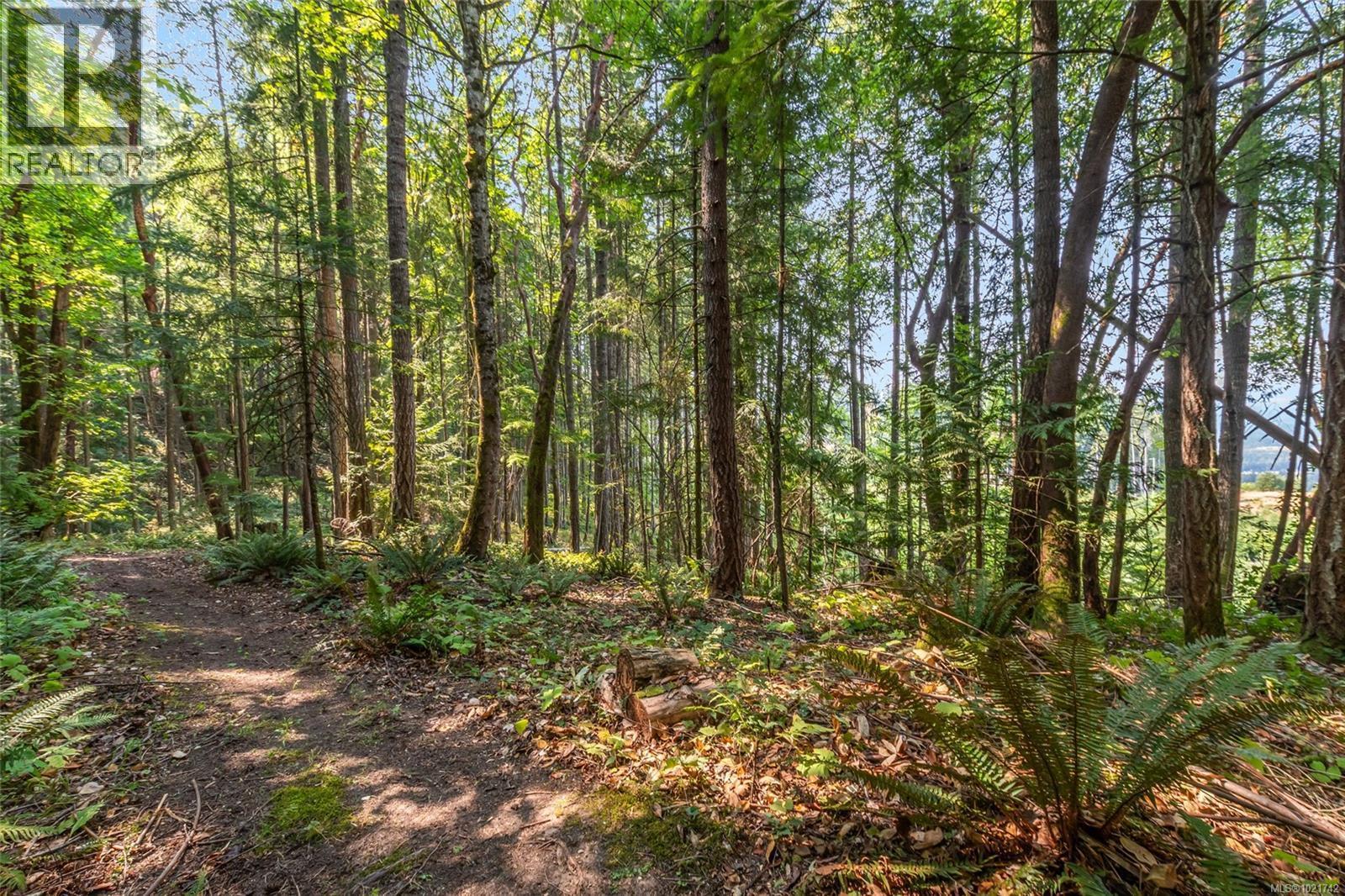 4961 Aho Rd, Ladysmith, BC - Outdoor With View