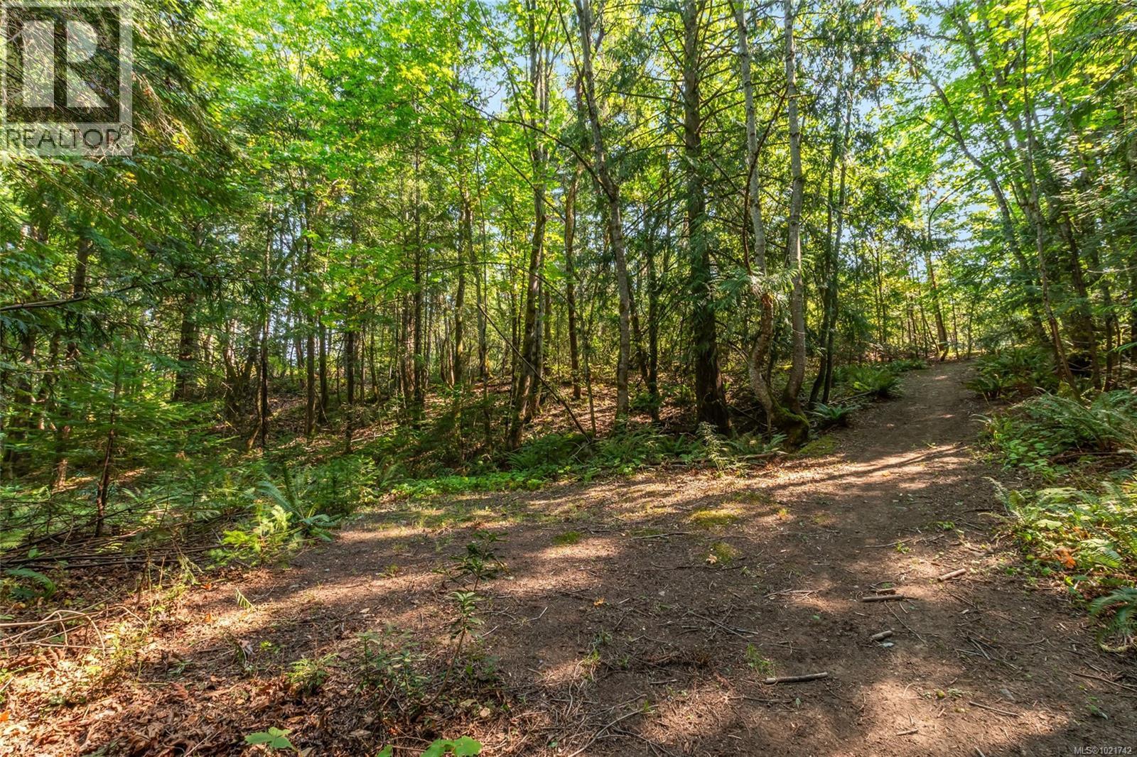 4961 Aho Rd, Ladysmith, BC - Outdoor With View