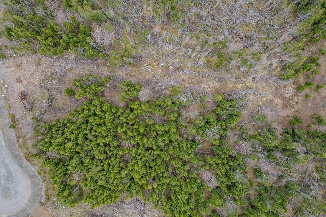 Lot 8 Brewer Drive, Mira Gut, NS