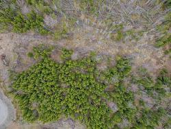 Lot 8 Brewer Drive Mira Gut, NS B1K 2W4