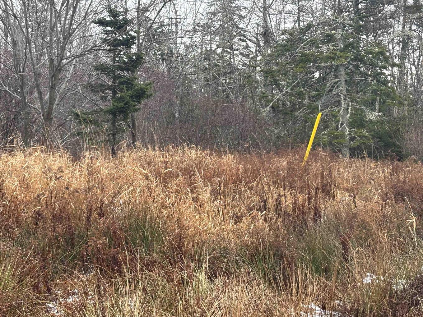 1254 Highway 340, South Ohio, NS