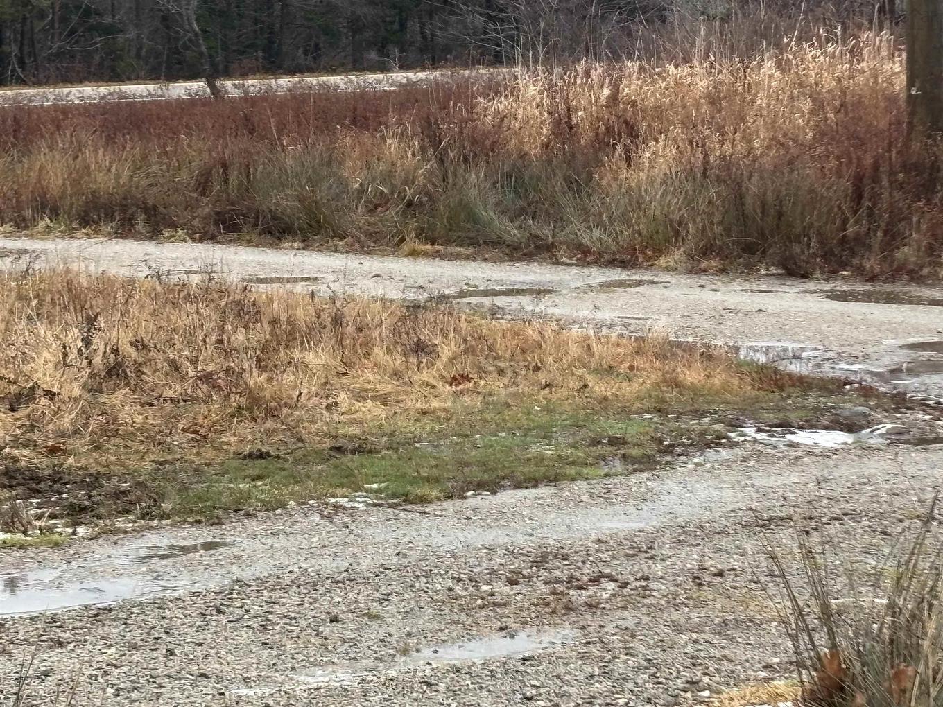 1254 Highway 340, South Ohio, NS