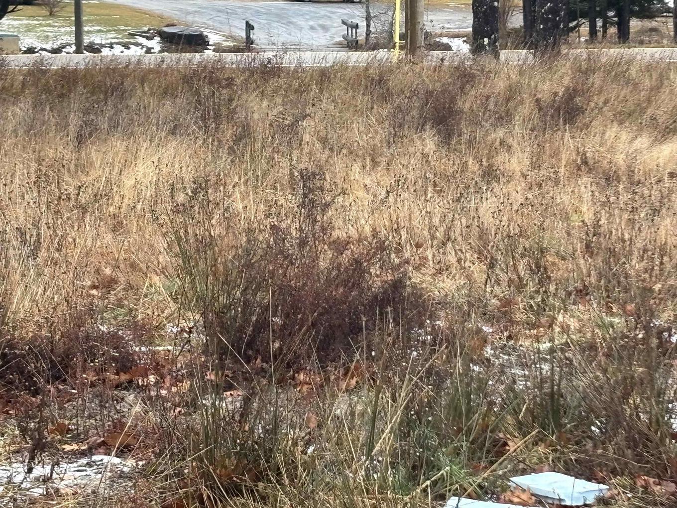 1254 Highway 340, South Ohio, NS