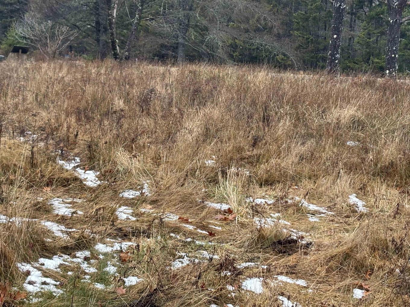 1254 Highway 340, South Ohio, NS